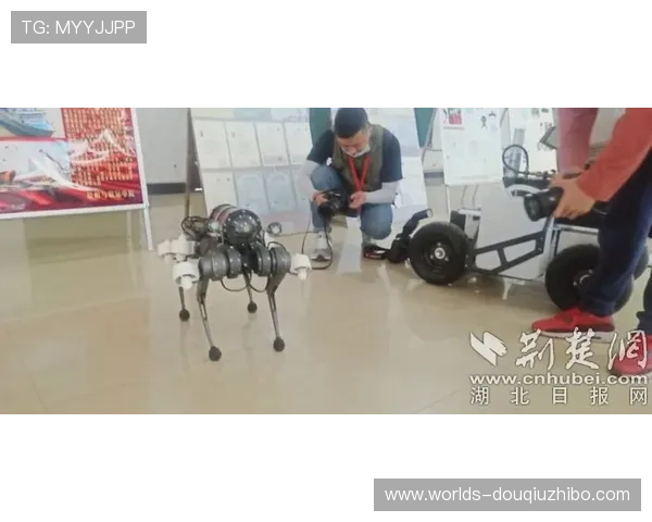 斗球体育直播下载下载安装步骤详解，快速开启体育直播新体验