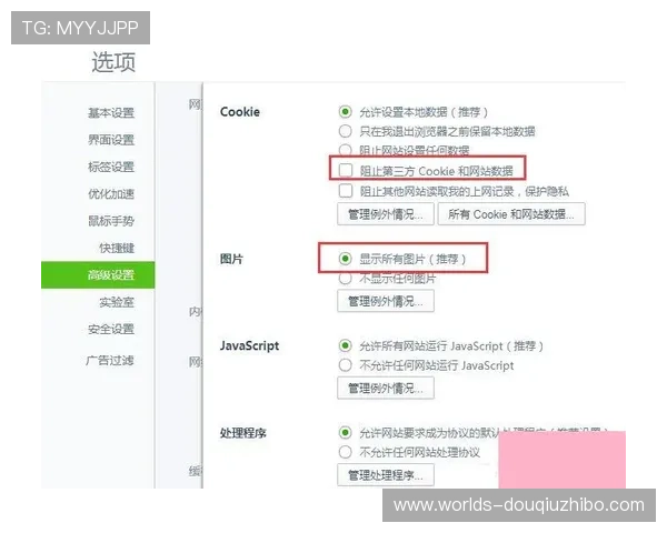 斗球电脑网页版入口操作流程详细步骤指导让你轻松上手