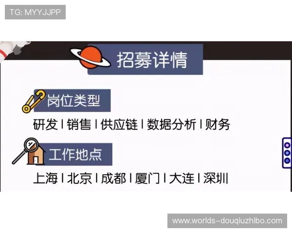 斗球vip充值攻略全方位指南帮助你合理规划充值方案享受更多尊贵特权