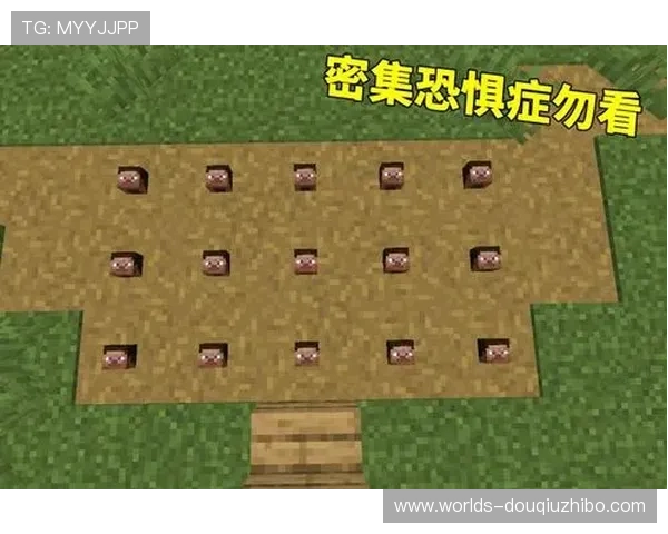 斗球网页版入口常见问题解答与登录技巧，帮助玩家顺利进入游戏世界