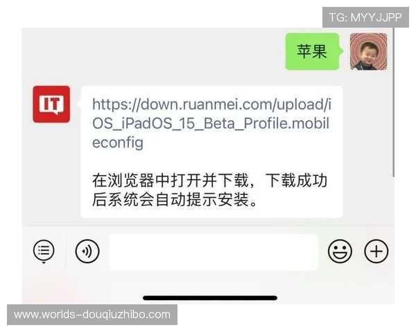 最新苹果设备斗球app官网入口下载安装步骤详解，确保安全无误