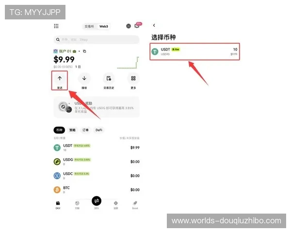 苹果手机用户如何快速下载斗球苹果版，详细步骤全攻略