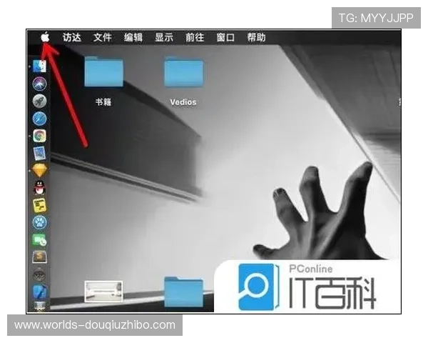 苹果设备斗球下载安装攻略，详细操作步骤全解析